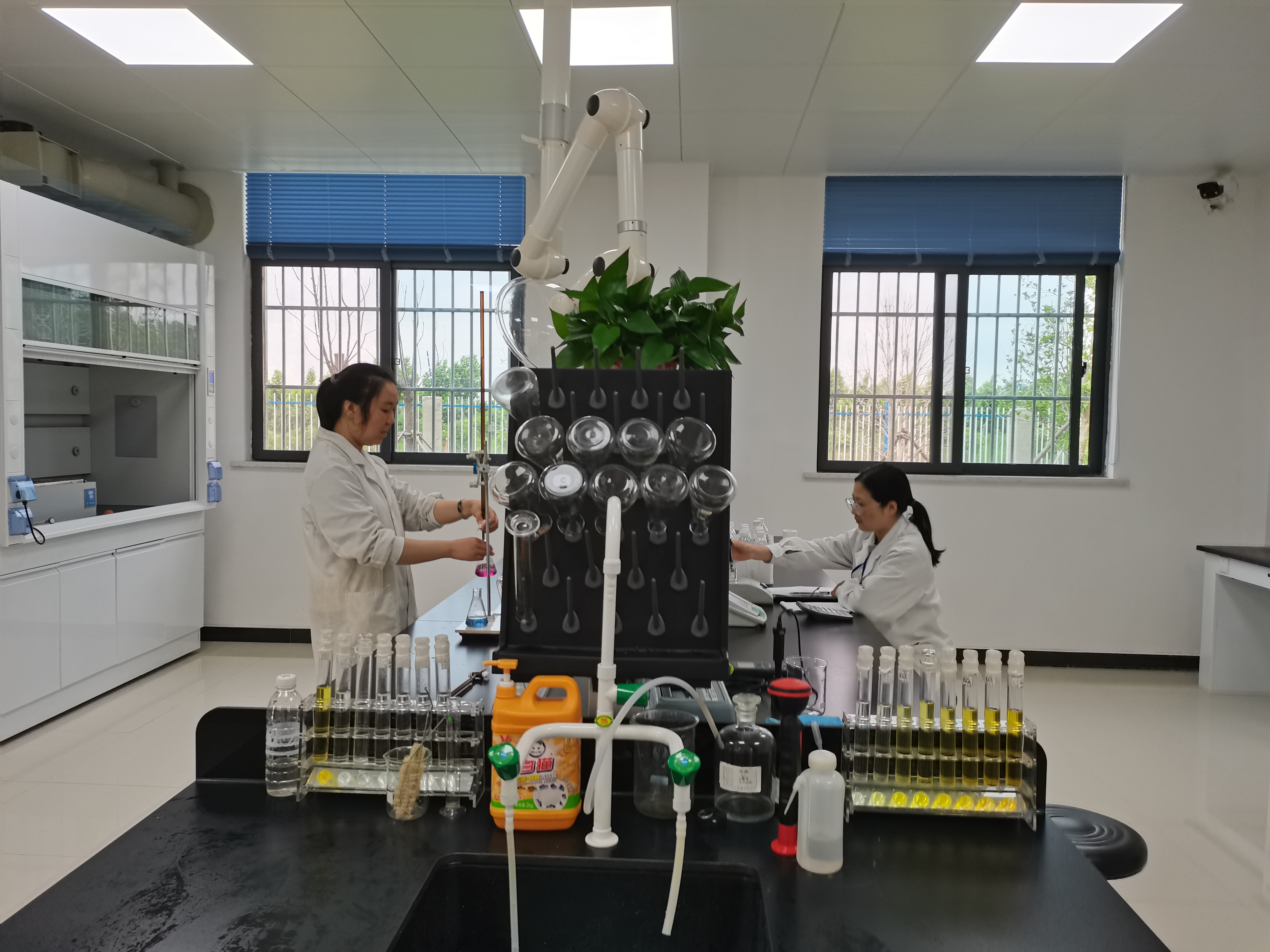 󽱹ʡ18dj18(й)ҳ¼